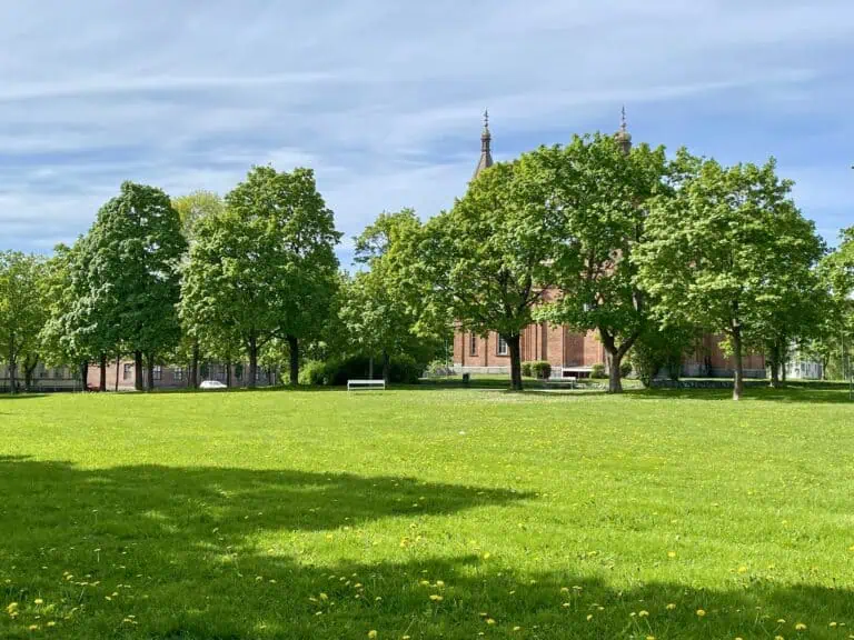 Luonnos kesästä, jota ei vielä ole
