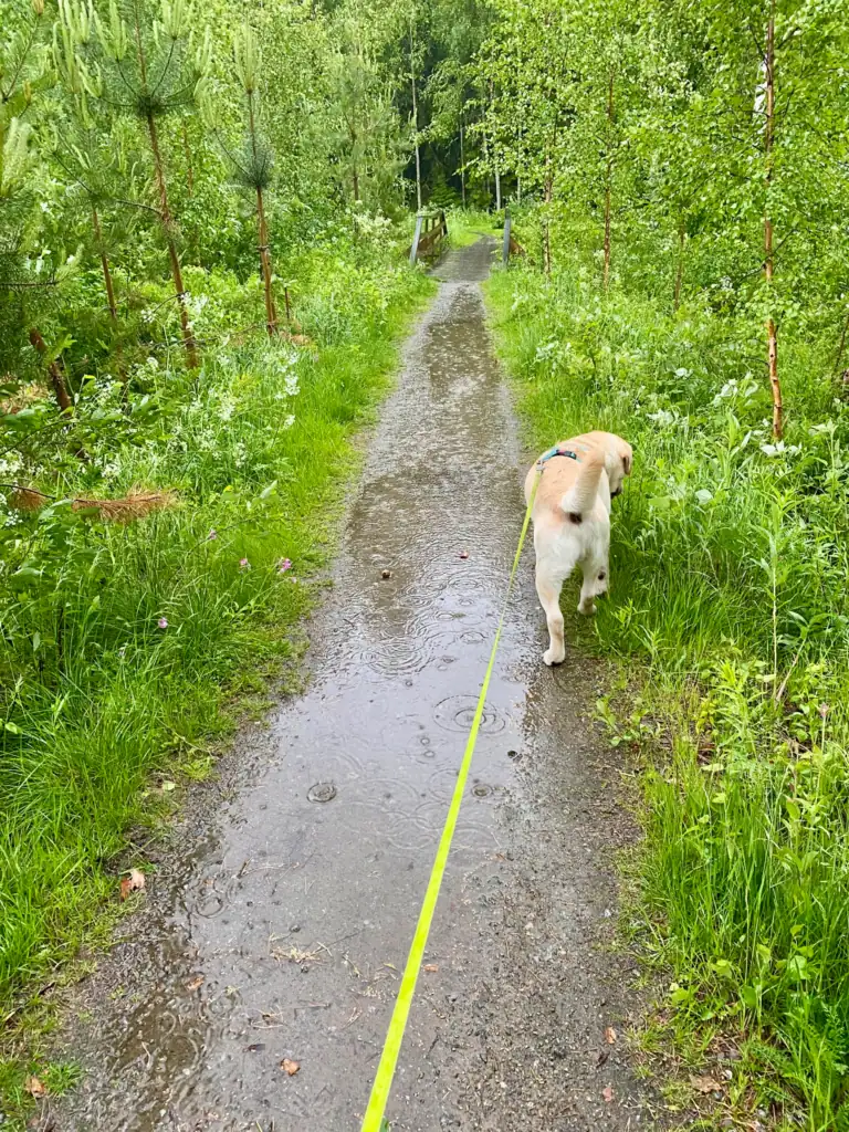Kesän Operaatio Nollapiste on käynnistetty