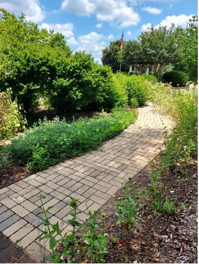 Permeable interlocking concrete paver walkway at the UGA Green Stormwater Infrastructure demo site