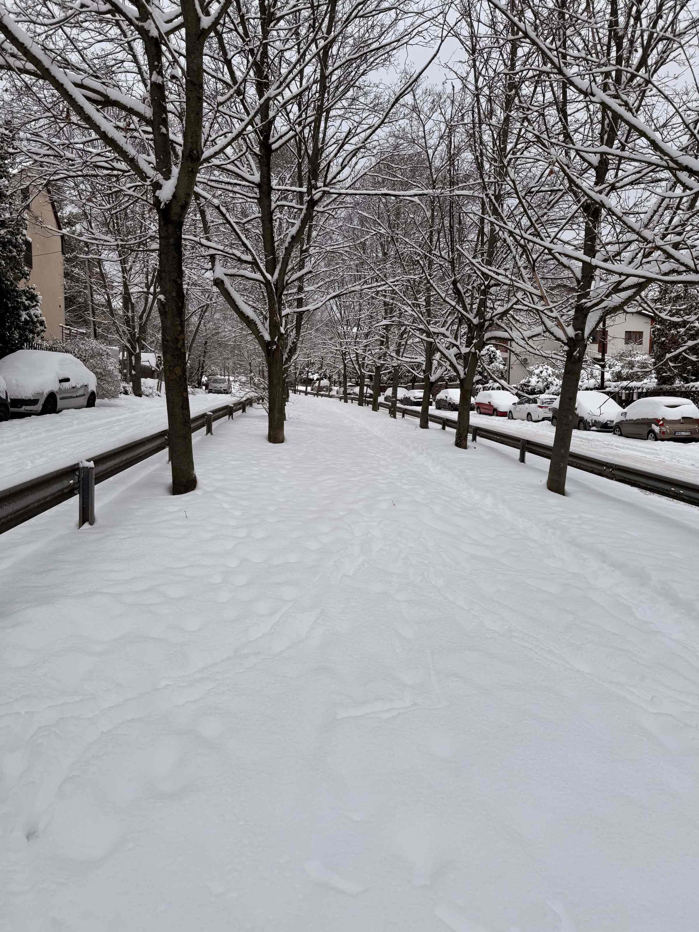 Snow-covered park in Budapest with bare trees and wooden benches during winter weather conditions