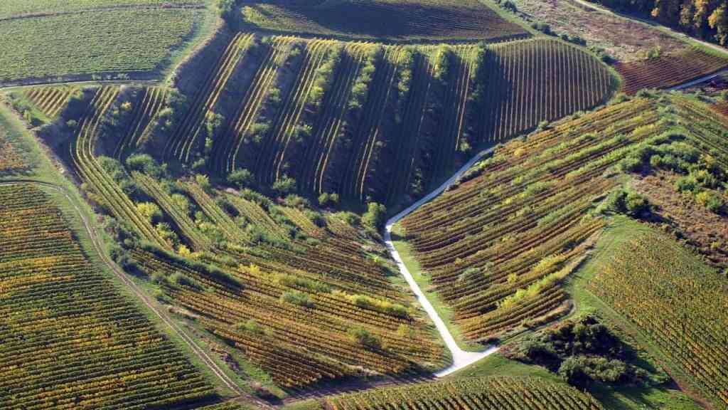 Harvest Wine Tours from Budapest: Plan Etyek, Eger or Villány