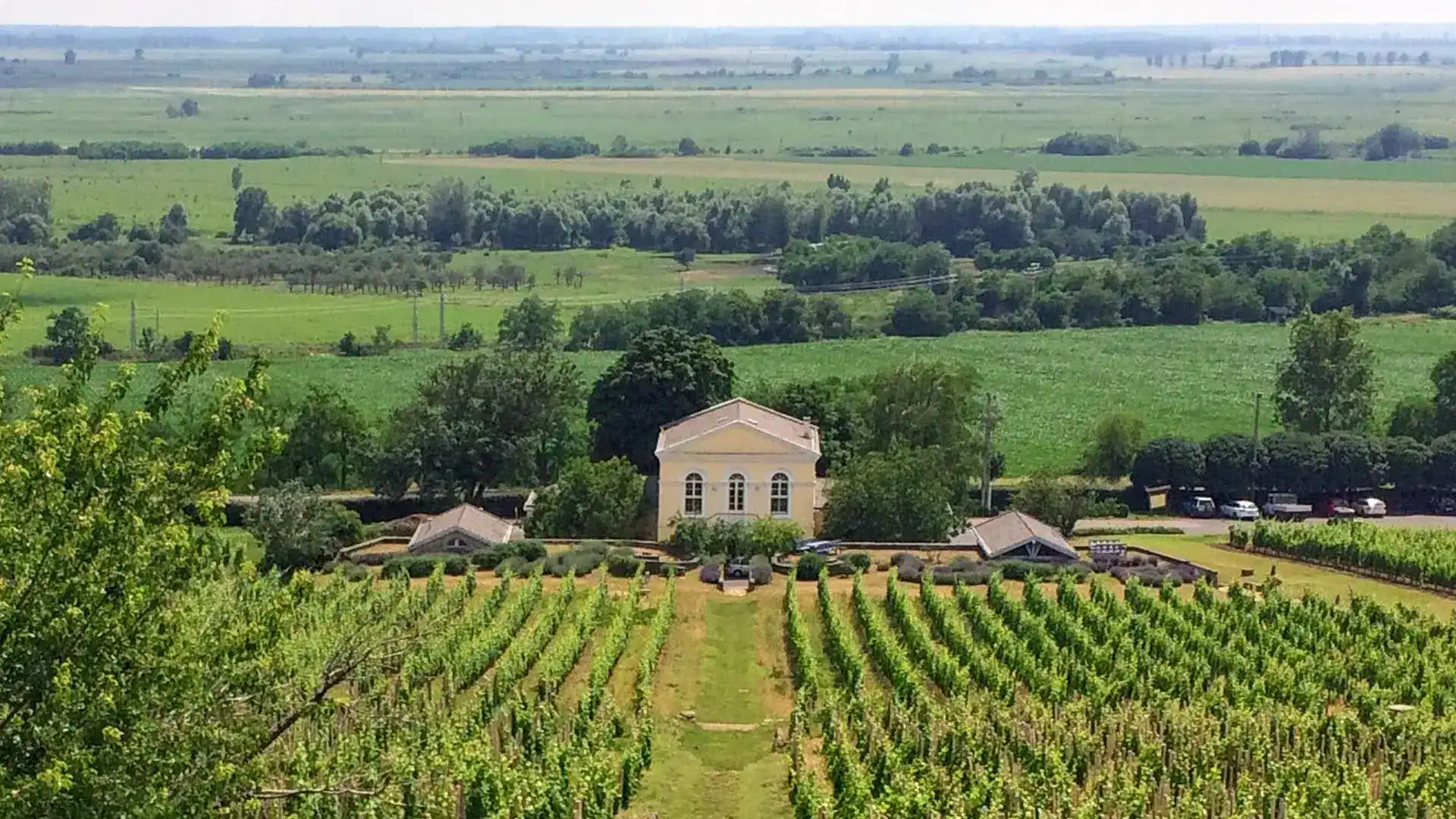 tokaj-winery-estate-luxury-van-vip-wine-tour