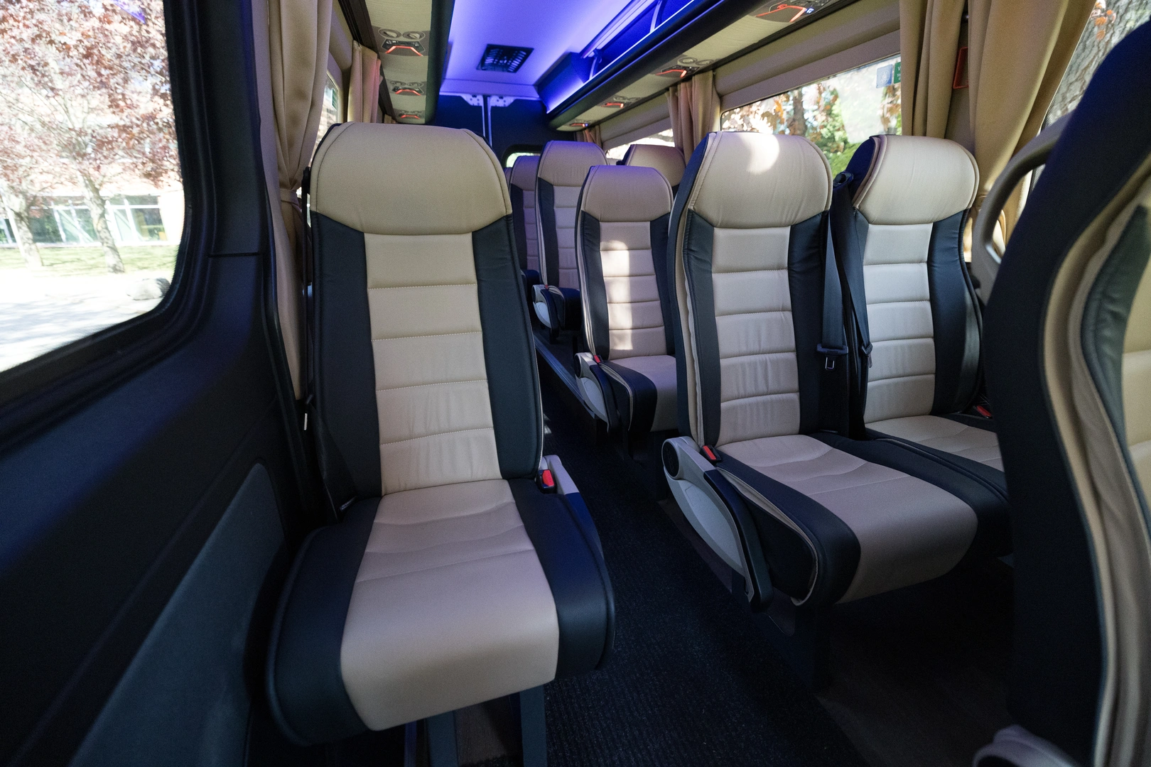 Two-tone seats with generous window views