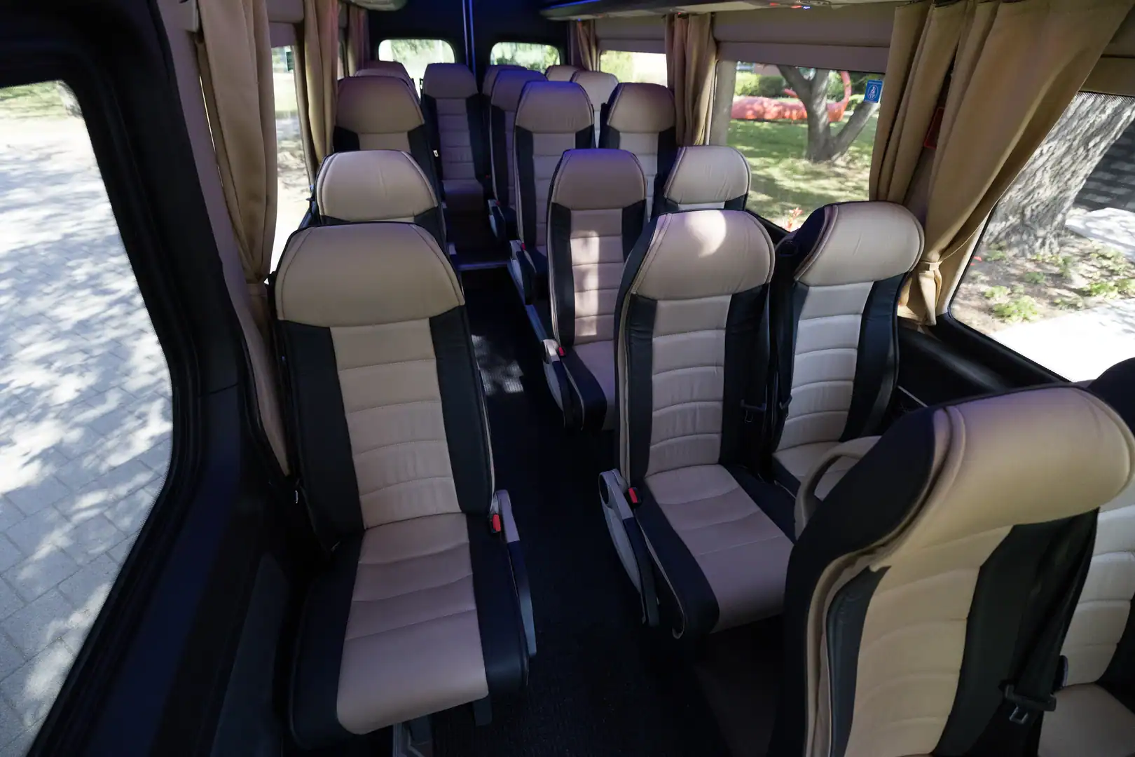 Cream leather headrests and neatly arranged rows