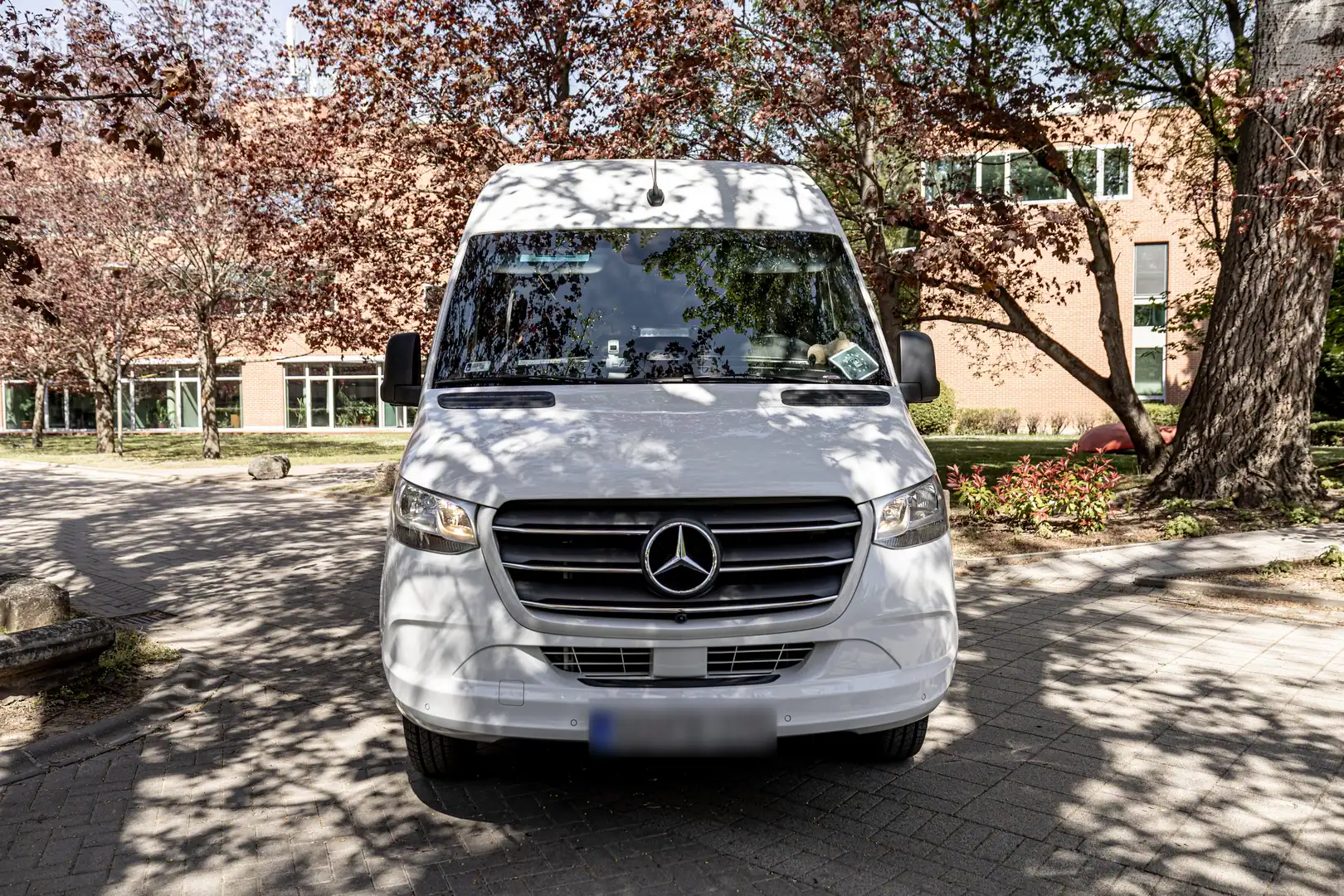 Head-on front view of the white Sprinter