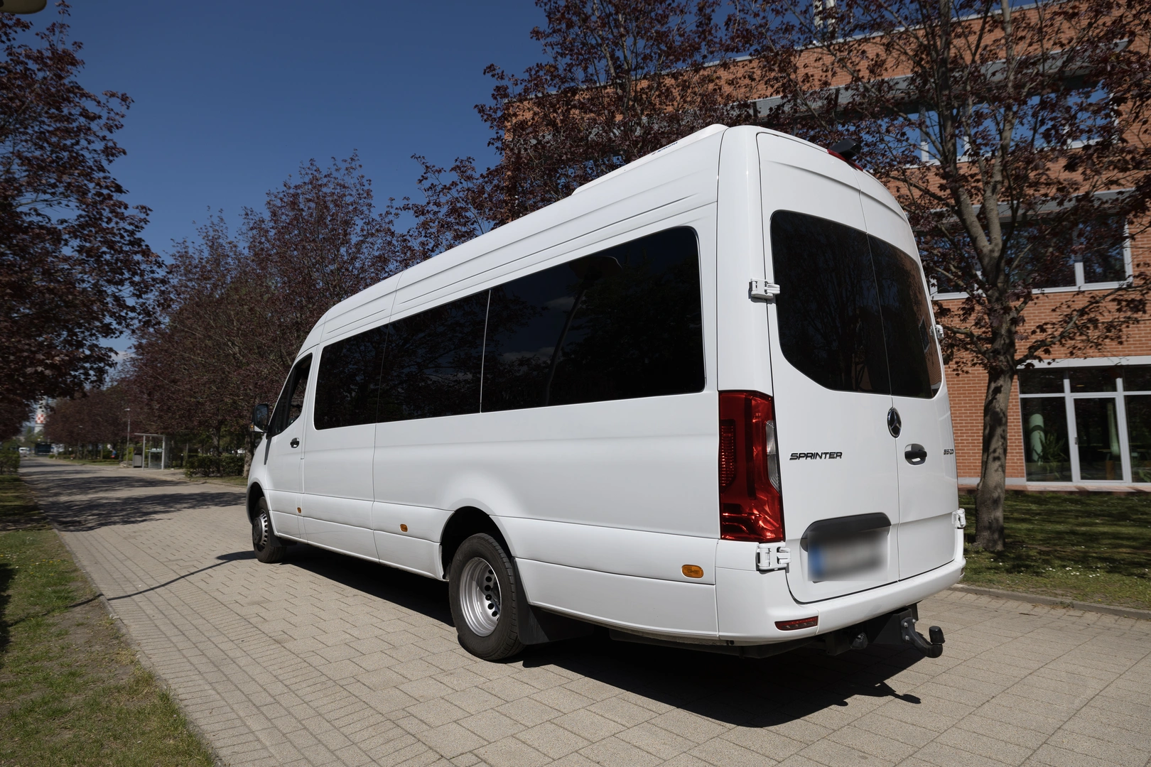 Rear side profile against a clear sky