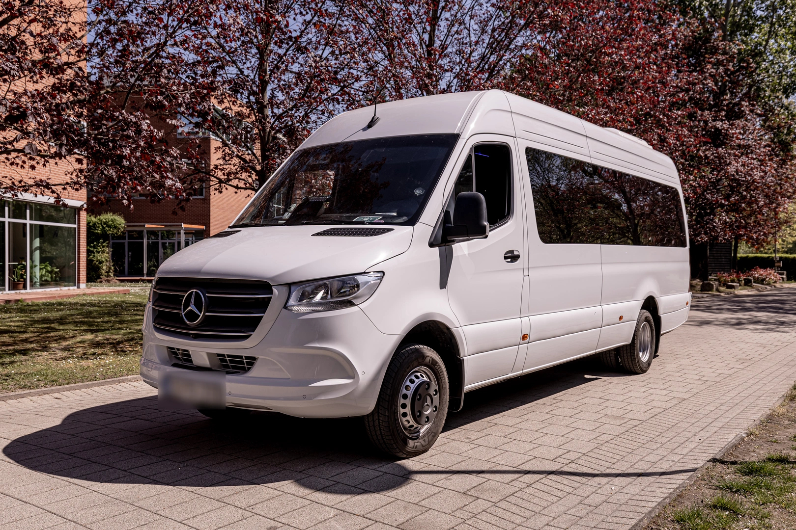 White Mercedes-Benz Sprinter minibus in spring