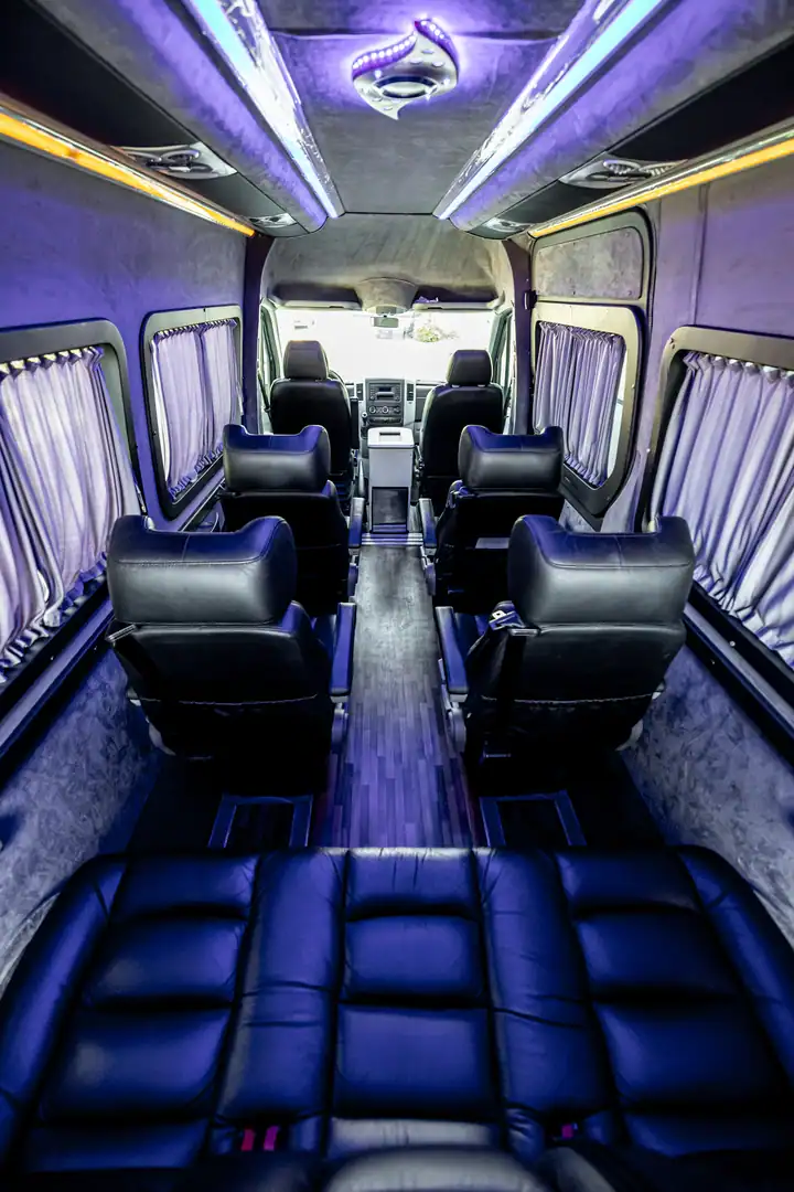 Mercedes VIP Sprinter — individual seat with privacy panel
