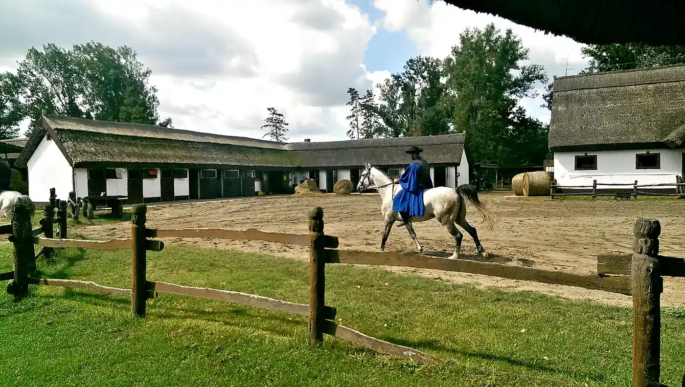 Csikós rider on a white horse in front of traditional thatched stables