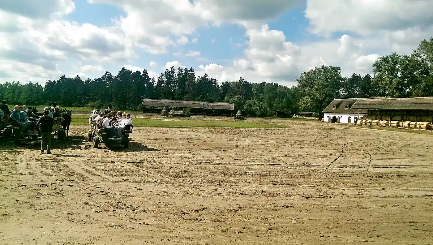 Guests on a horse-drawn carriage ride across the Hungarian Puszta