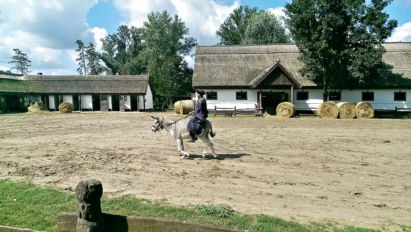 Traditional Hungarian horse show in the arena at a Puszta farm