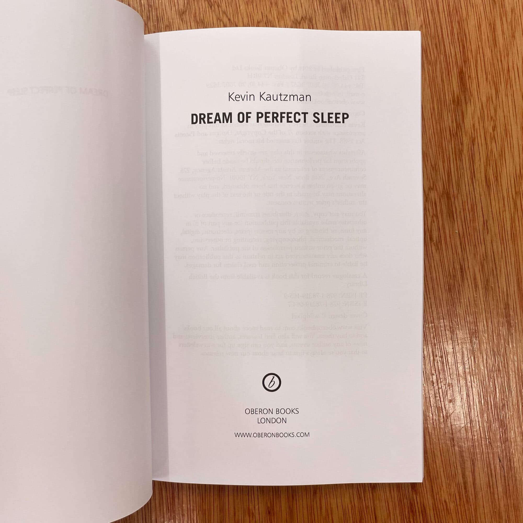 Dream of Perfect Sleep by Kevin Kautzman - Image 5