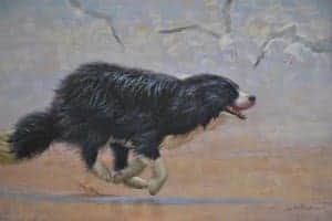 Linda Finch - Go, Dog, Go