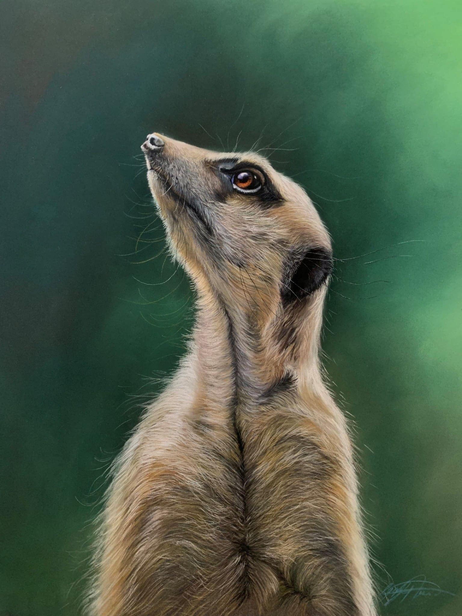 Portrait of a meerkat with a green background, showcasing pastel artwork.