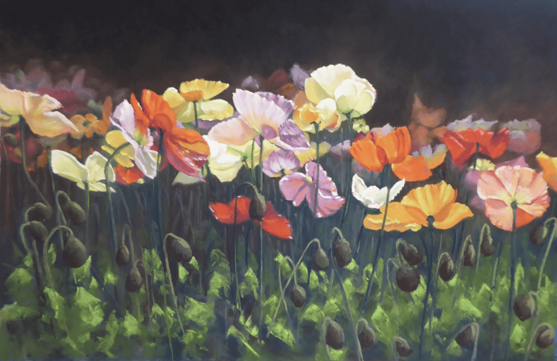 Poppies in vibrant pastel colors, showcasing floral art excellence at the Pastel Society of Victoria.