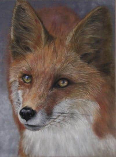 Elegant fox portrait pastel artwork showcasing fine detail and vibrant colours.