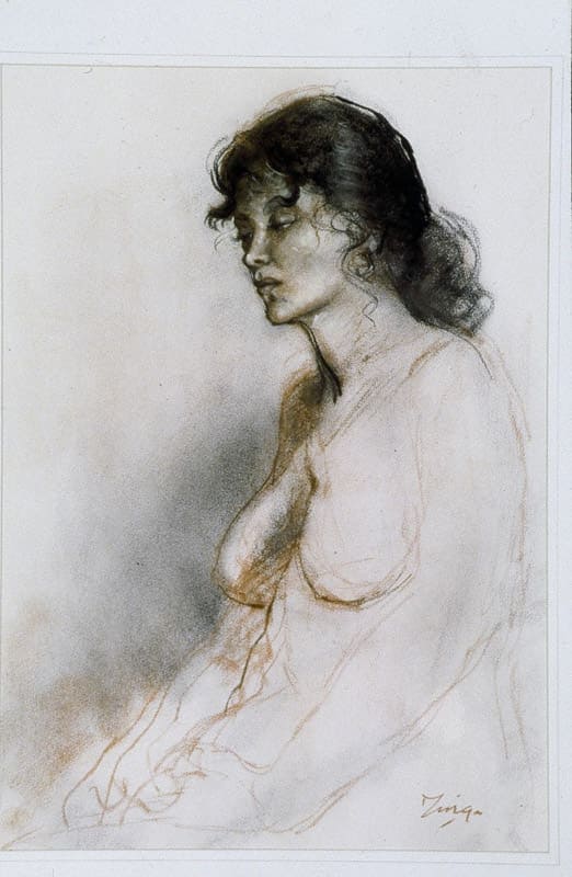 Pastel portrait of a woman by The Pastel Society of Victoria, Australia.