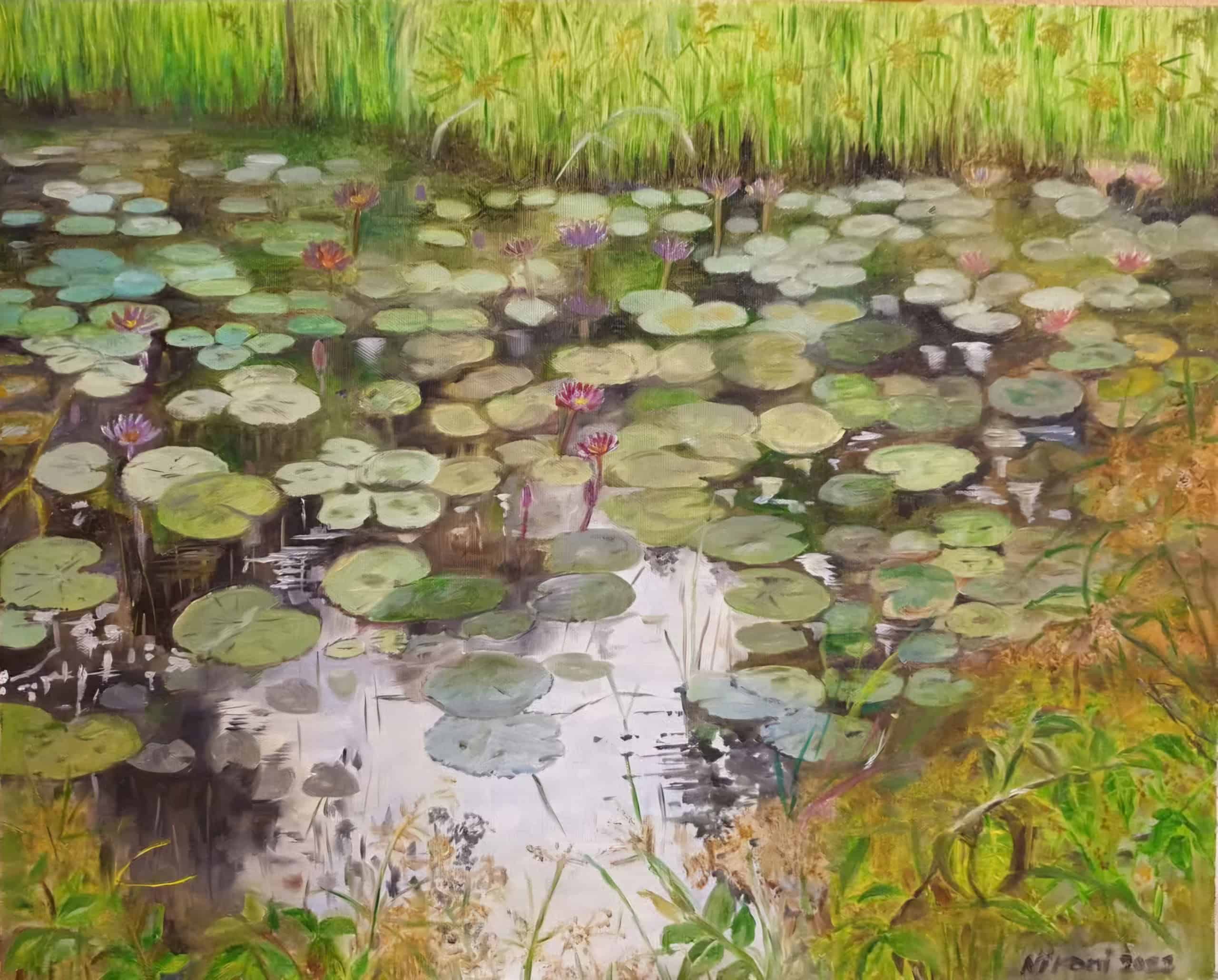 Water lilies floating on a tranquil pond with lush greenery in the background.