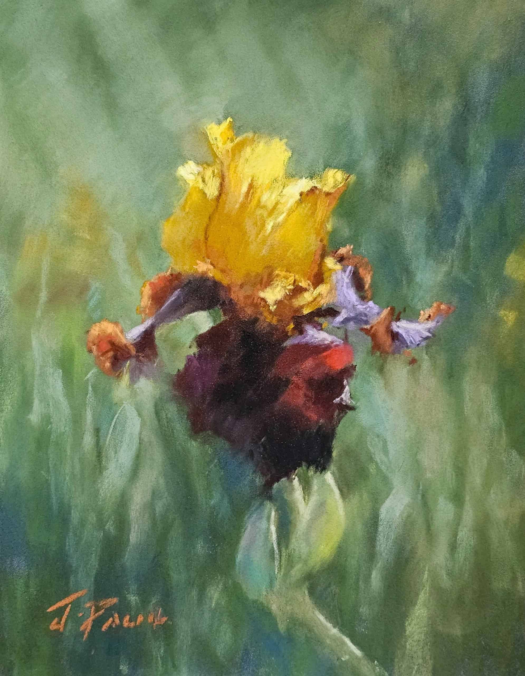 Watercolour painting of a vibrant yellow iris flower with green background.
