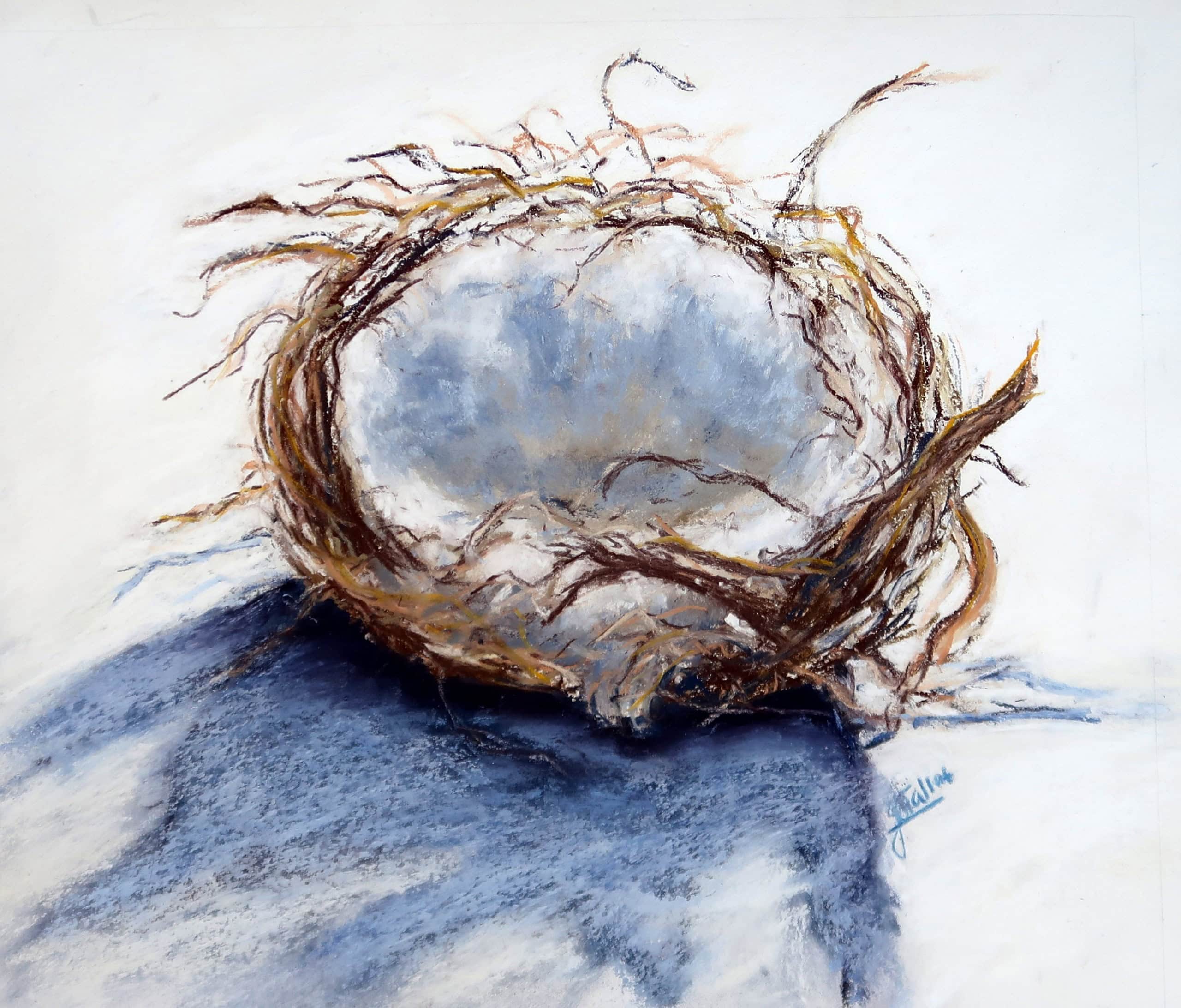Pastel artwork of a bird's nest with eggs, showcasing pastel art techniques.