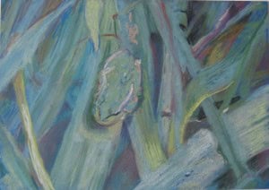 Abstract pastel artwork of blue and green plant-like shapes.