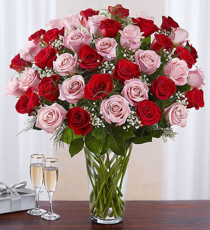 Long Stem Pink & Red Roses Las Vegas