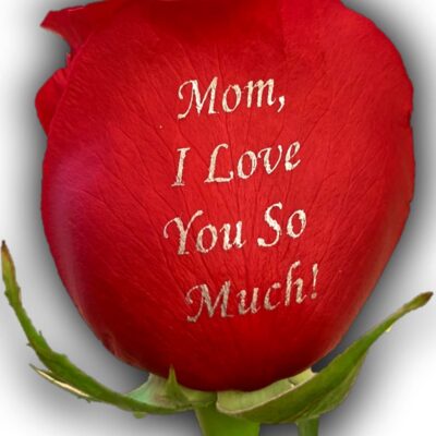 mom, i love you so much SINGLE ROSE