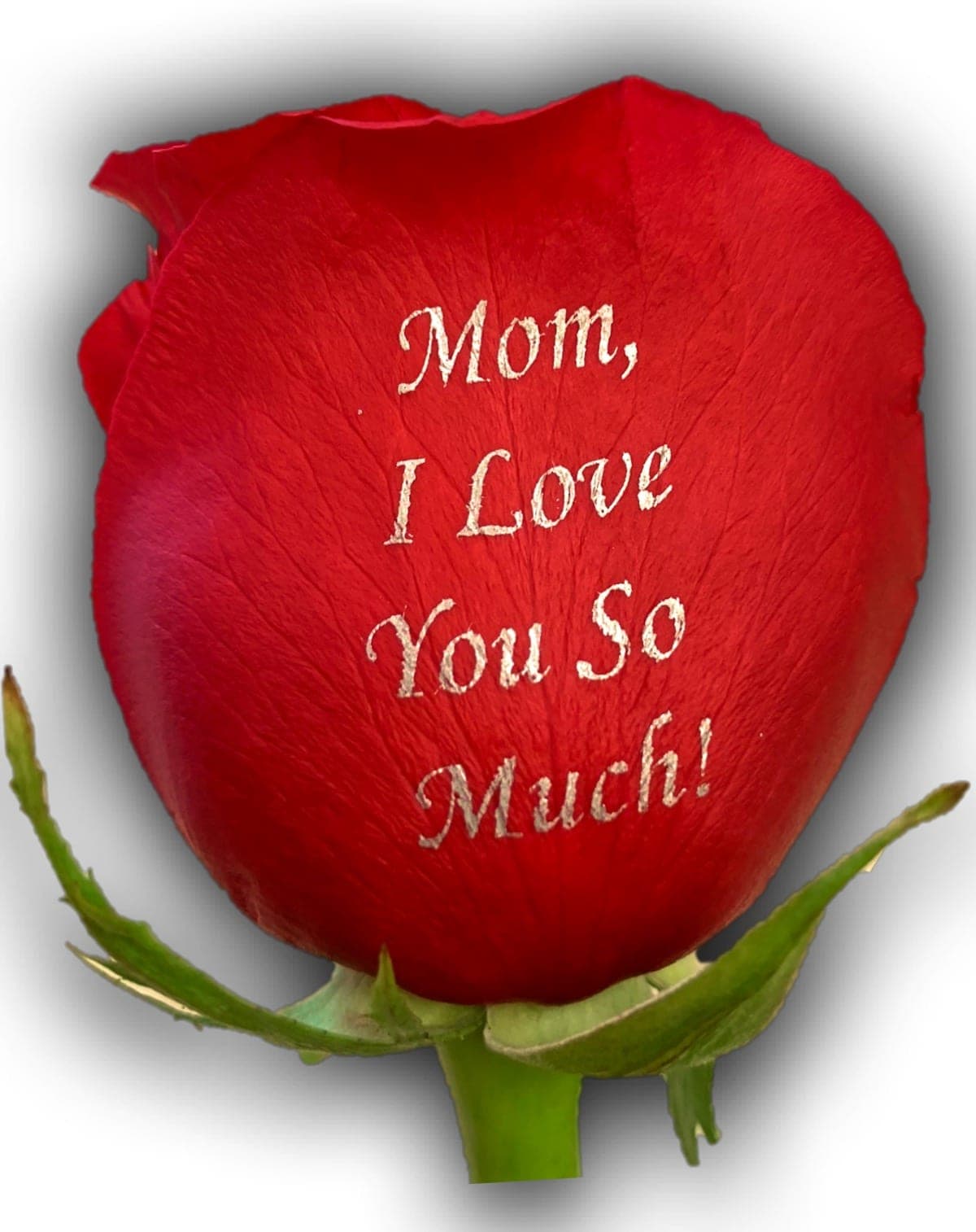 Mom, I Love You So Much! - Image 2