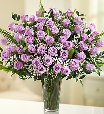 purple roses