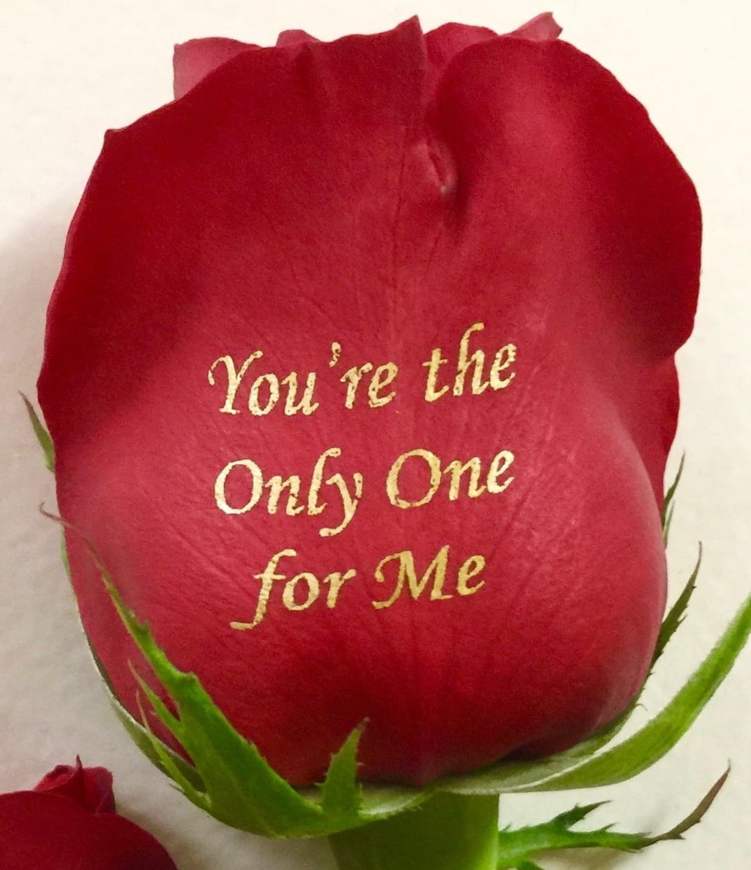 ,,You're the Only One for Me'' - Image 3
