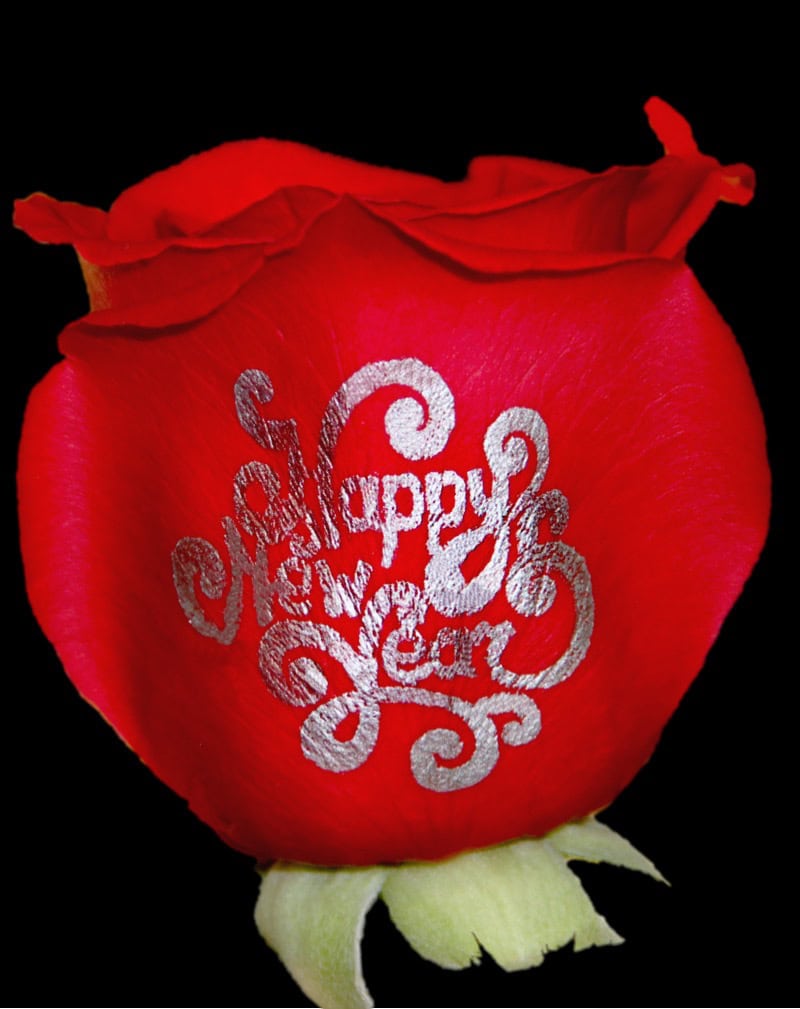 "Happy New Year" Speaking Roses - Image 2