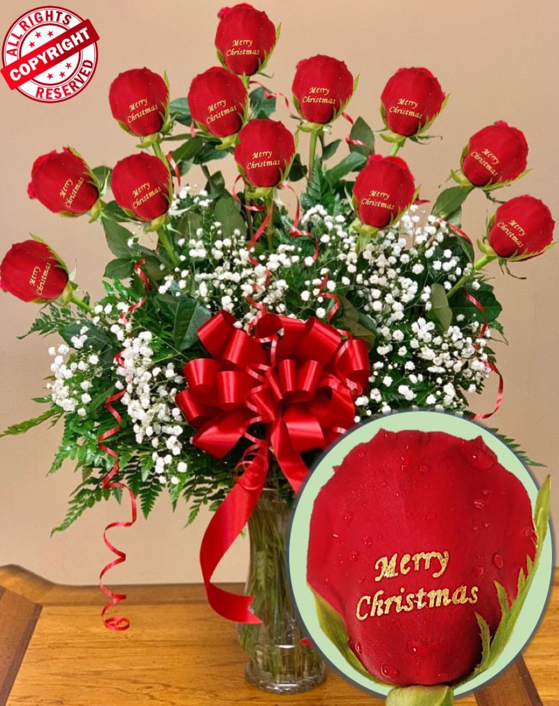 merry christmas roses