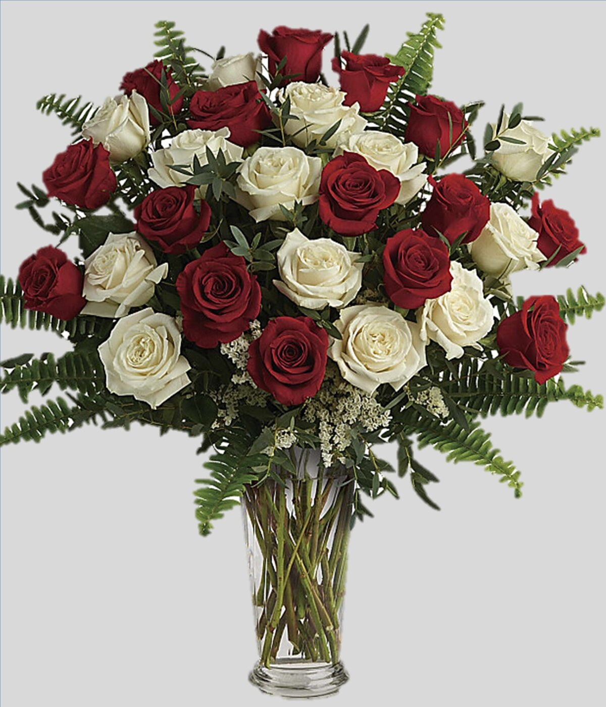 red and white roses long stems