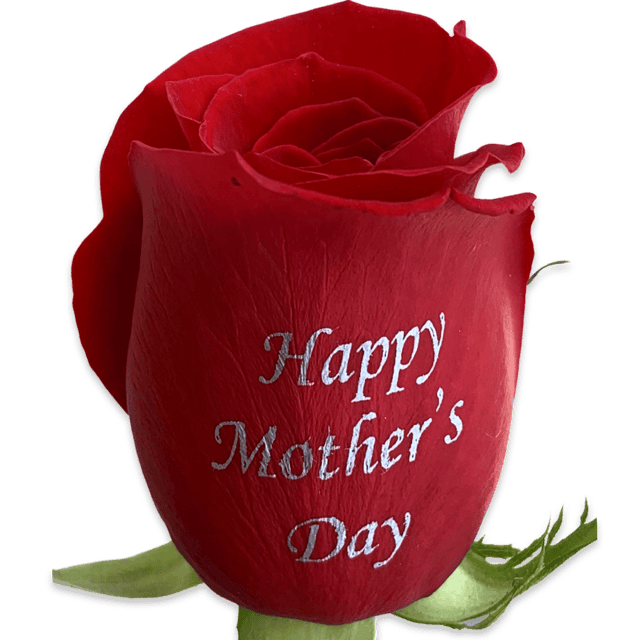 happy mother's day speaking roses