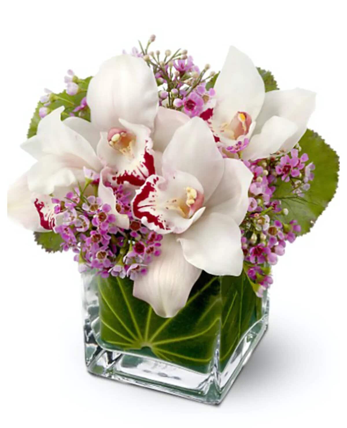 Evelyn Las Vegas flowers