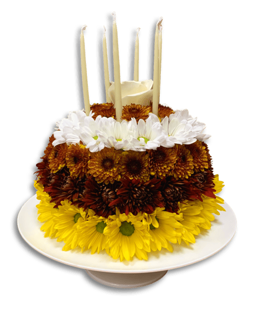 BIRTHDAY CAKE PNG
