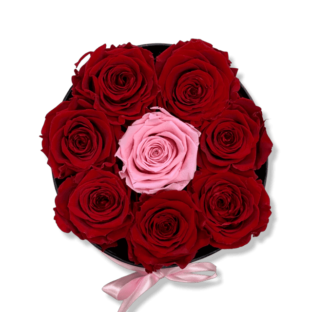 7 Red Preserved Roses + 1 Pink Rose - Image 2