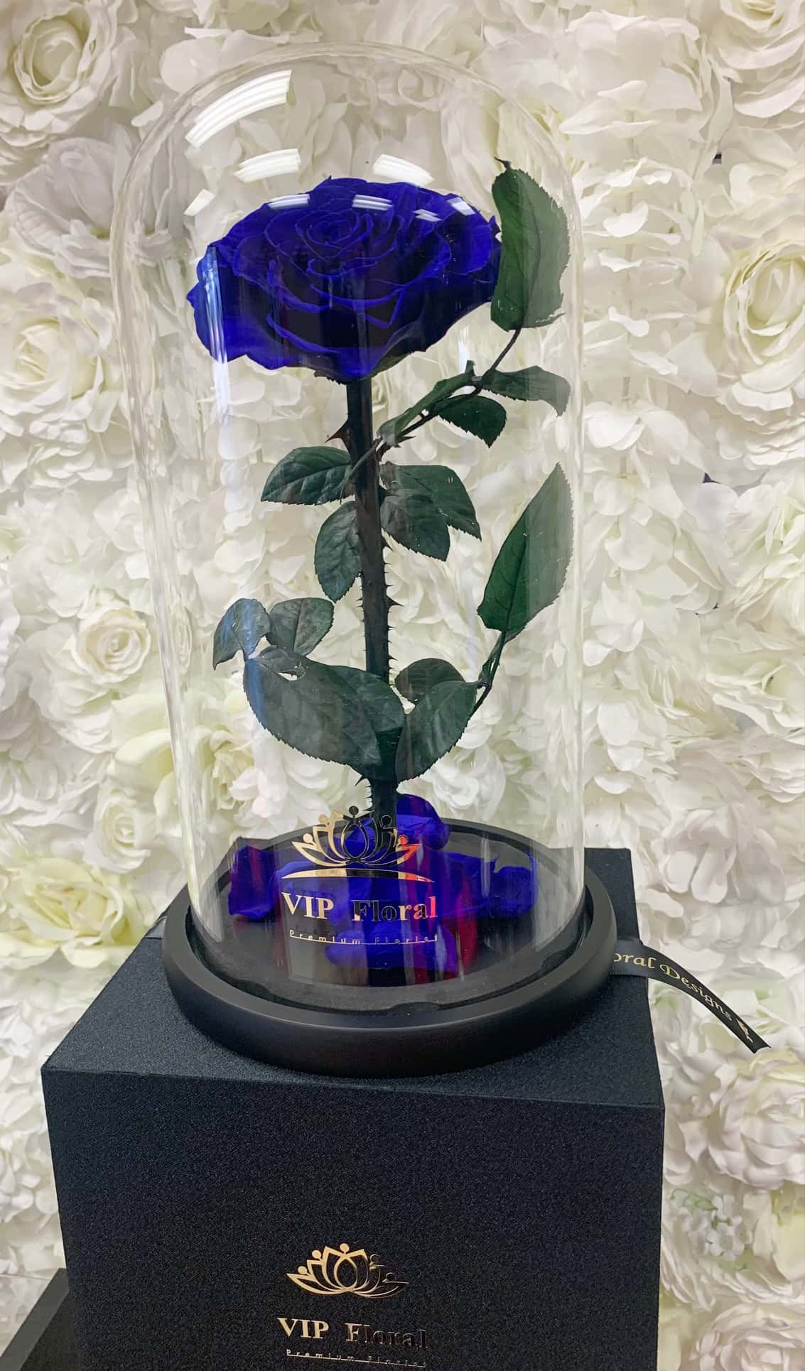 12"H Preserved Blue Rose in Glass Dome - Image 3