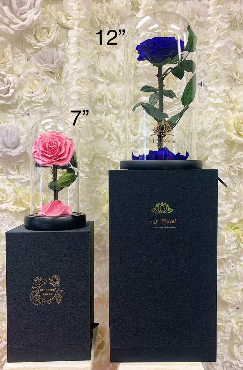 12"H Preserved Blue Rose in Glass Dome - Image 4