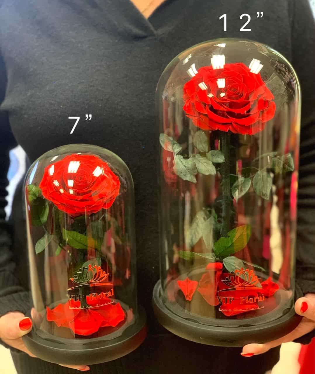 12"H Preserved Blue Rose in Glass Dome - Image 5