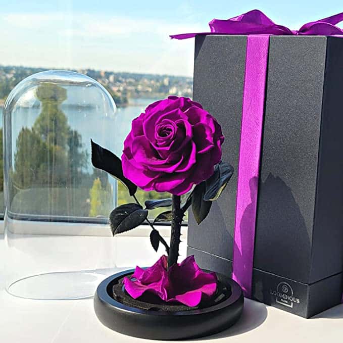 purple preserved rose in a glass dome with gift box