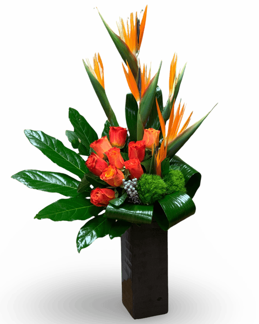 Las Vegas Flower Haven" is a desert oasis with a tropical twist. Featuring vibrant Birds of Paradise, orange roses, and elegant Monstera leaves, it's a lush escape in the heart of Las Vegas. Nature's beauty, redefined.