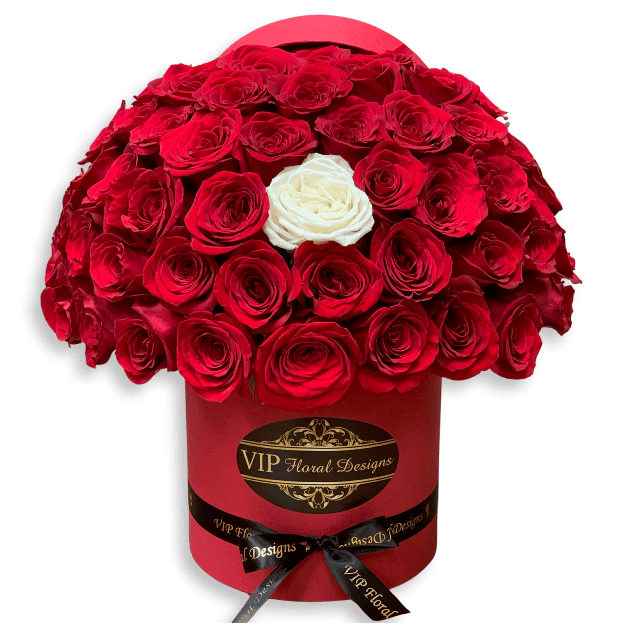 50 red roses and one white