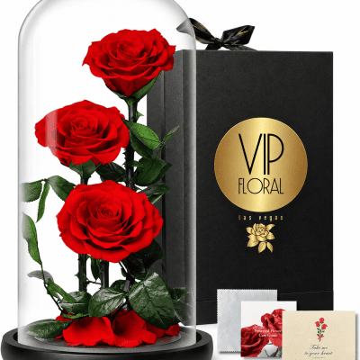 preserved roses gift las vegas