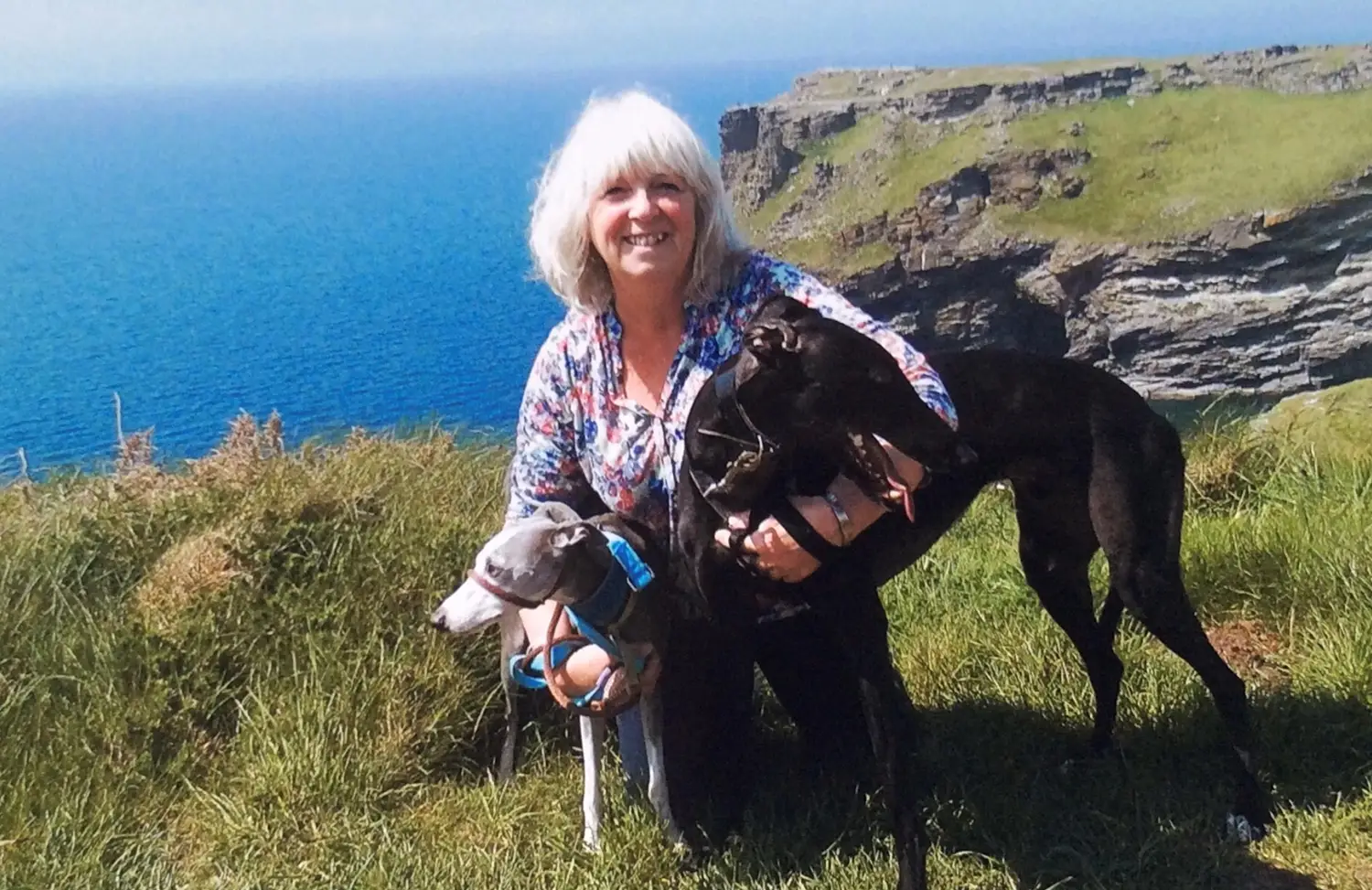 Watercolour paintings in Devon