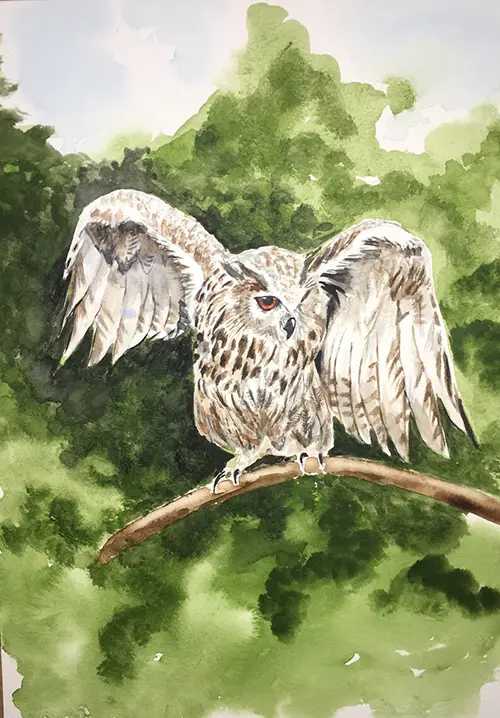 Watercolor owl spreading wings on tree branch.