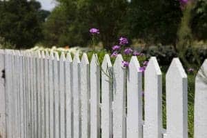 Close up of a white picket garden fence