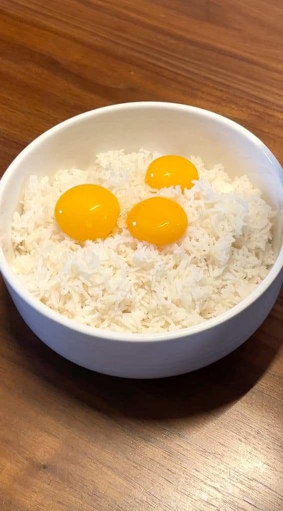 Salmon Fried Rice