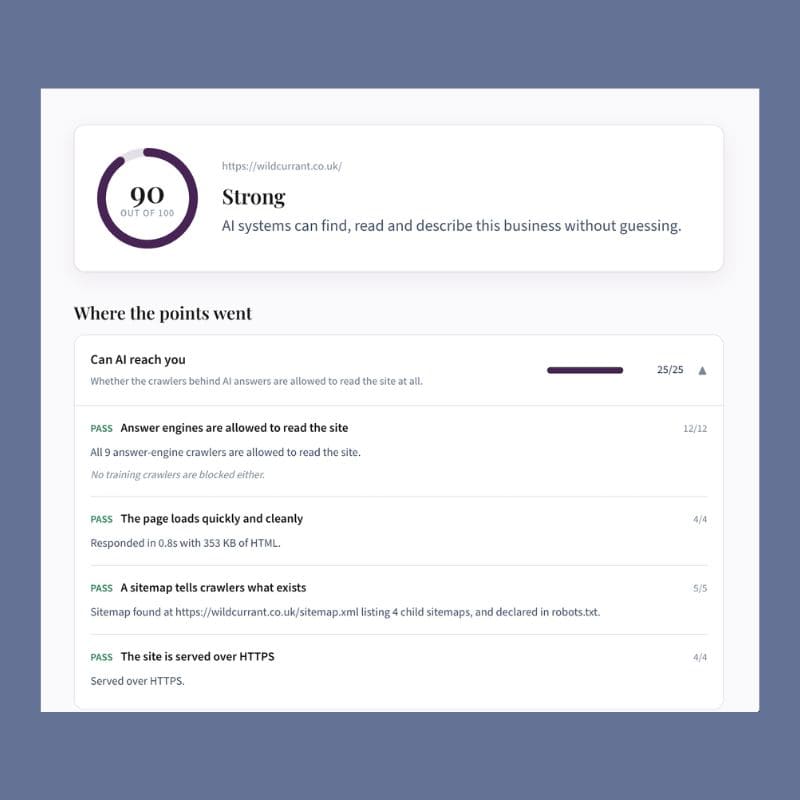 Screenshot of AI visibility checker results on Wild Currant website.