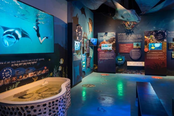 Marine Discovery Centre